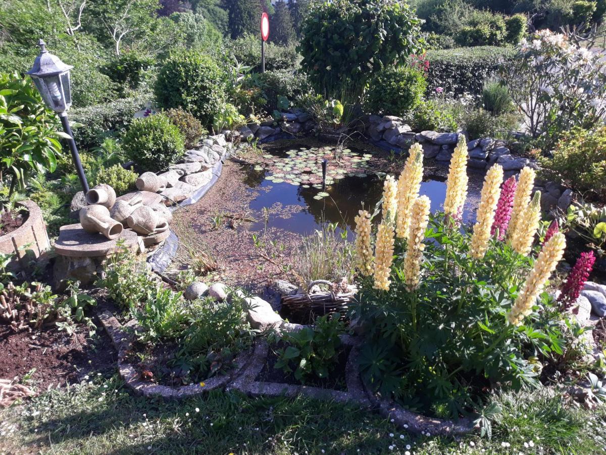 Studio Au Jardin Fleuri Вервье Экстерьер фото