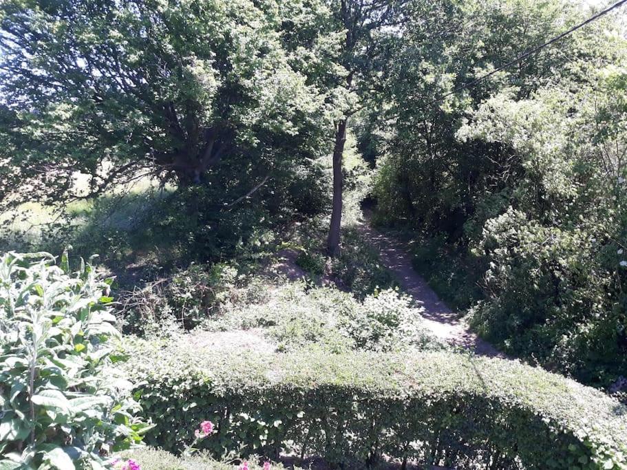 Studio Au Jardin Fleuri Вервье Экстерьер фото